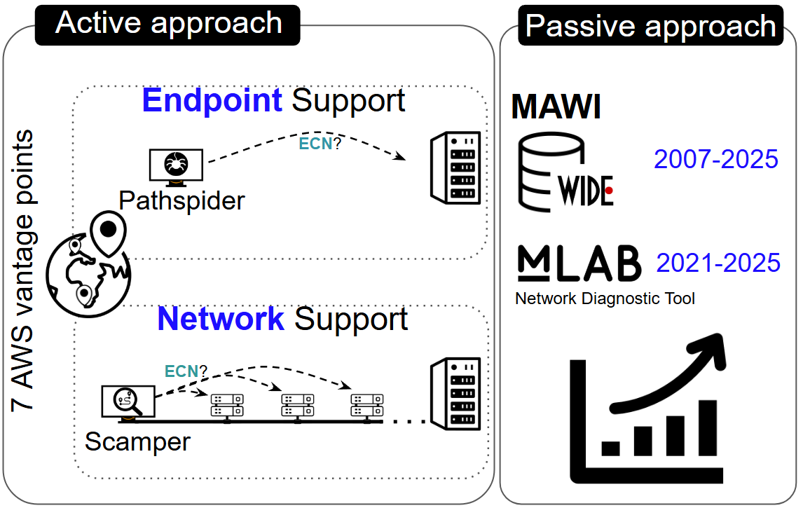 The State of ECN Adoption in the Internet